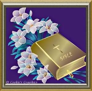 Meet your Posher, Shirley